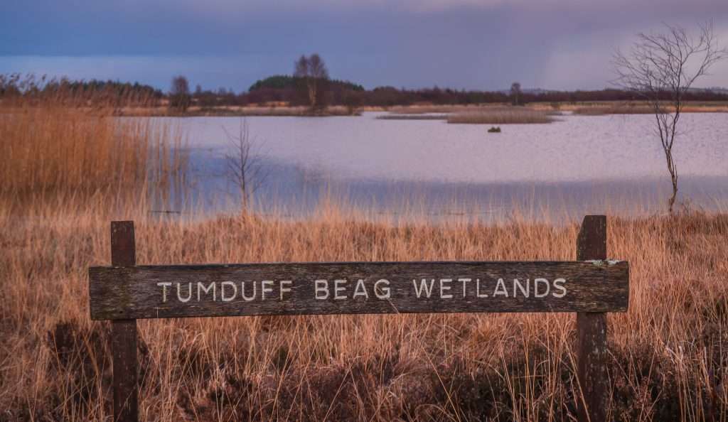 Tumduff Beag Wetlands