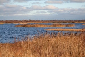 turraun-wetlands 