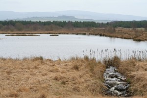 Tumduff-Moor-3 