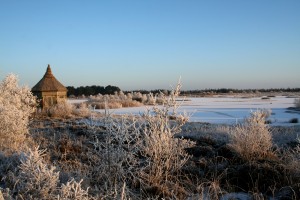 Cold-morning-at-Lough-Boora