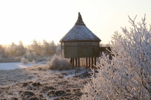 Frosty-birdhide